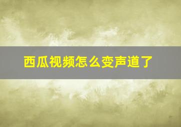 西瓜视频怎么变声道了