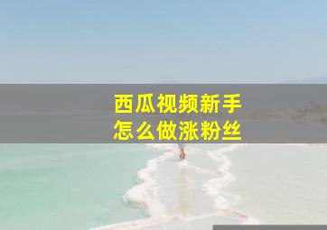 西瓜视频新手怎么做涨粉丝