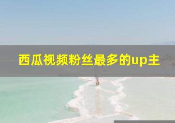 西瓜视频粉丝最多的up主