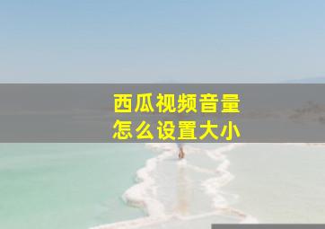 西瓜视频音量怎么设置大小