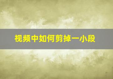 视频中如何剪掉一小段