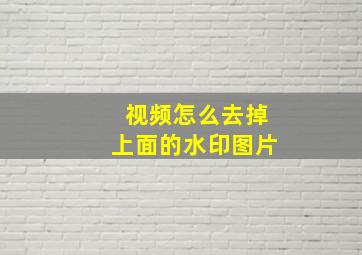 视频怎么去掉上面的水印图片