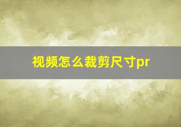 视频怎么裁剪尺寸pr