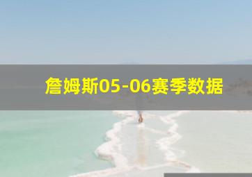 詹姆斯05-06赛季数据