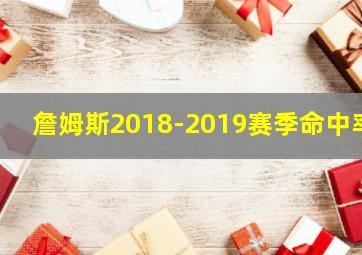 詹姆斯2018-2019赛季命中率