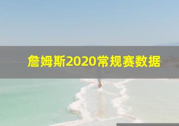 詹姆斯2020常规赛数据