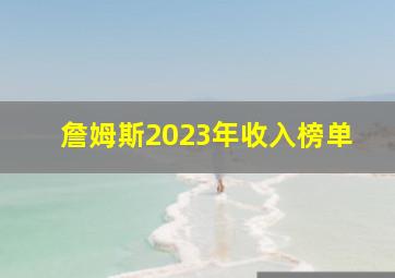 詹姆斯2023年收入榜单