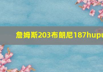 詹姆斯203布朗尼187hupu