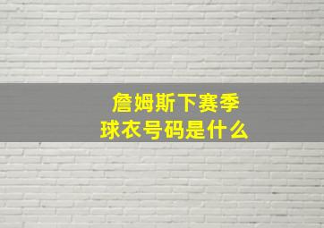 詹姆斯下赛季球衣号码是什么