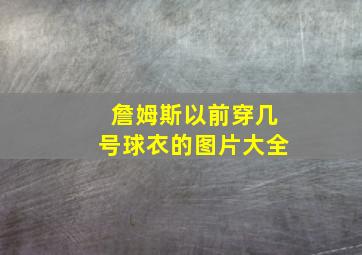 詹姆斯以前穿几号球衣的图片大全