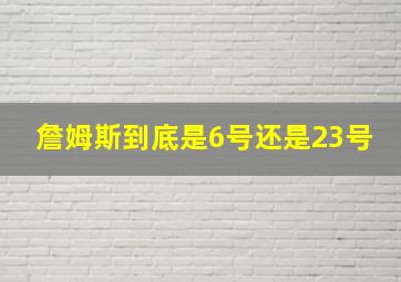 詹姆斯到底是6号还是23号