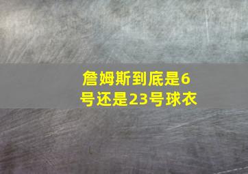 詹姆斯到底是6号还是23号球衣