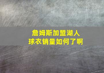 詹姆斯加盟湖人球衣销量如何了啊