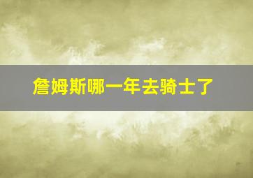 詹姆斯哪一年去骑士了