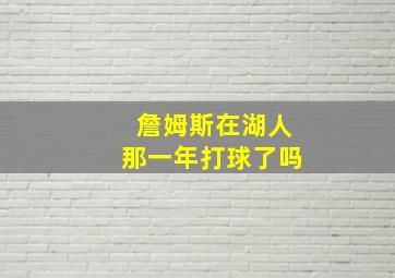 詹姆斯在湖人那一年打球了吗