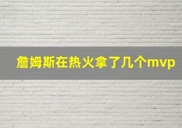 詹姆斯在热火拿了几个mvp