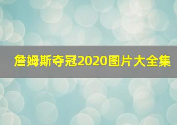 詹姆斯夺冠2020图片大全集