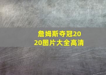 詹姆斯夺冠2020图片大全高清