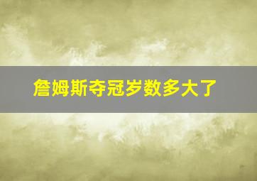 詹姆斯夺冠岁数多大了