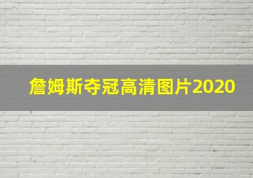 詹姆斯夺冠高清图片2020