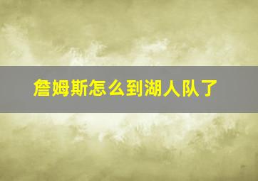 詹姆斯怎么到湖人队了