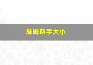 詹姆斯手大小