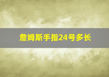 詹姆斯手指24号多长