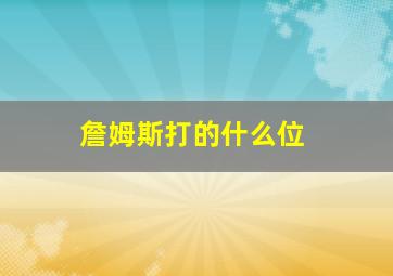 詹姆斯打的什么位