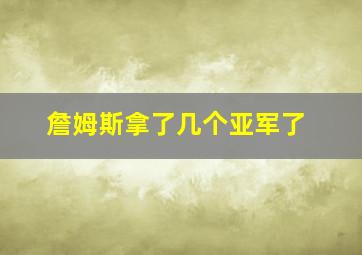 詹姆斯拿了几个亚军了