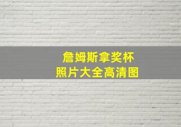 詹姆斯拿奖杯照片大全高清图