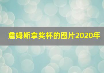 詹姆斯拿奖杯的图片2020年