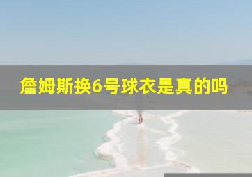 詹姆斯换6号球衣是真的吗