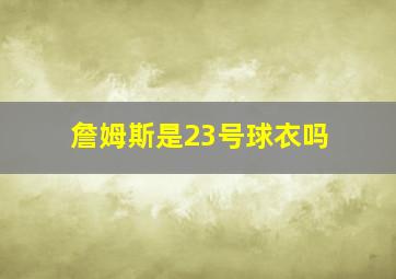 詹姆斯是23号球衣吗