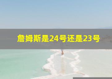 詹姆斯是24号还是23号