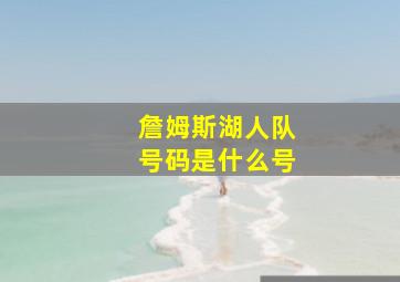 詹姆斯湖人队号码是什么号