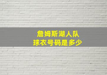 詹姆斯湖人队球衣号码是多少