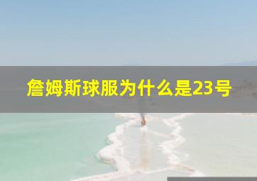 詹姆斯球服为什么是23号