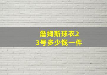 詹姆斯球衣23号多少钱一件