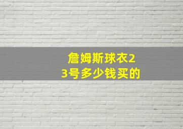 詹姆斯球衣23号多少钱买的