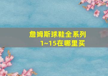 詹姆斯球鞋全系列1~15在哪里买