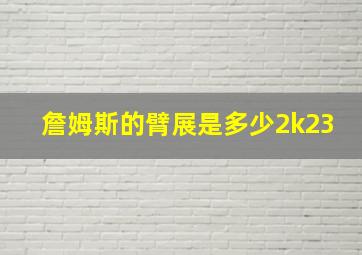 詹姆斯的臂展是多少2k23