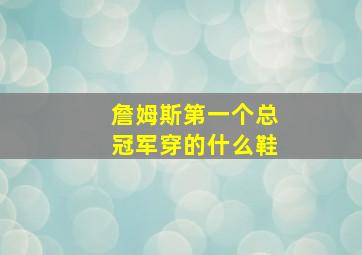 詹姆斯第一个总冠军穿的什么鞋