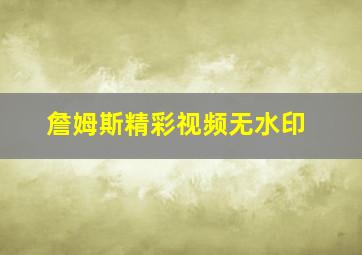 詹姆斯精彩视频无水印