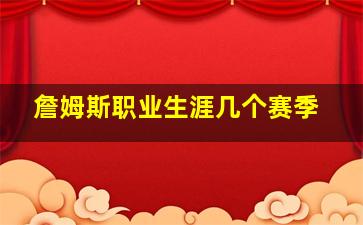 詹姆斯职业生涯几个赛季