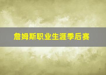 詹姆斯职业生涯季后赛