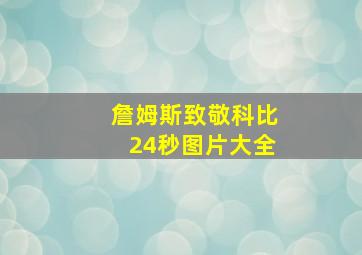 詹姆斯致敬科比24秒图片大全