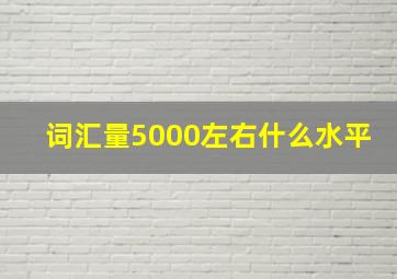 词汇量5000左右什么水平