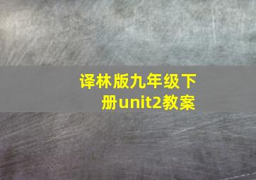 译林版九年级下册unit2教案