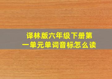 译林版六年级下册第一单元单词音标怎么读