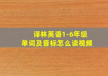 译林英语1-6年级单词及音标怎么读视频